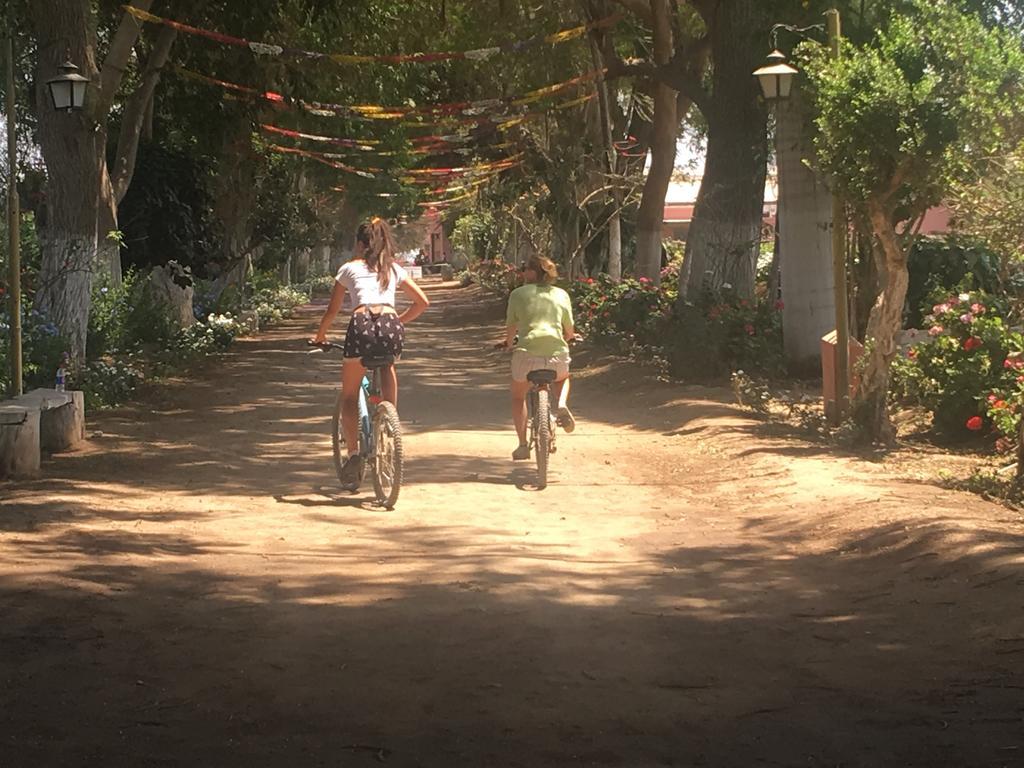 Ica Adventures Bed and Breakfast Εξωτερικό φωτογραφία
