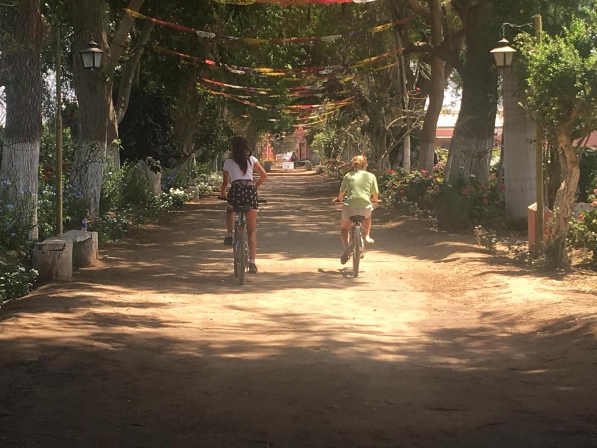 Ica Adventures Bed and Breakfast Εξωτερικό φωτογραφία